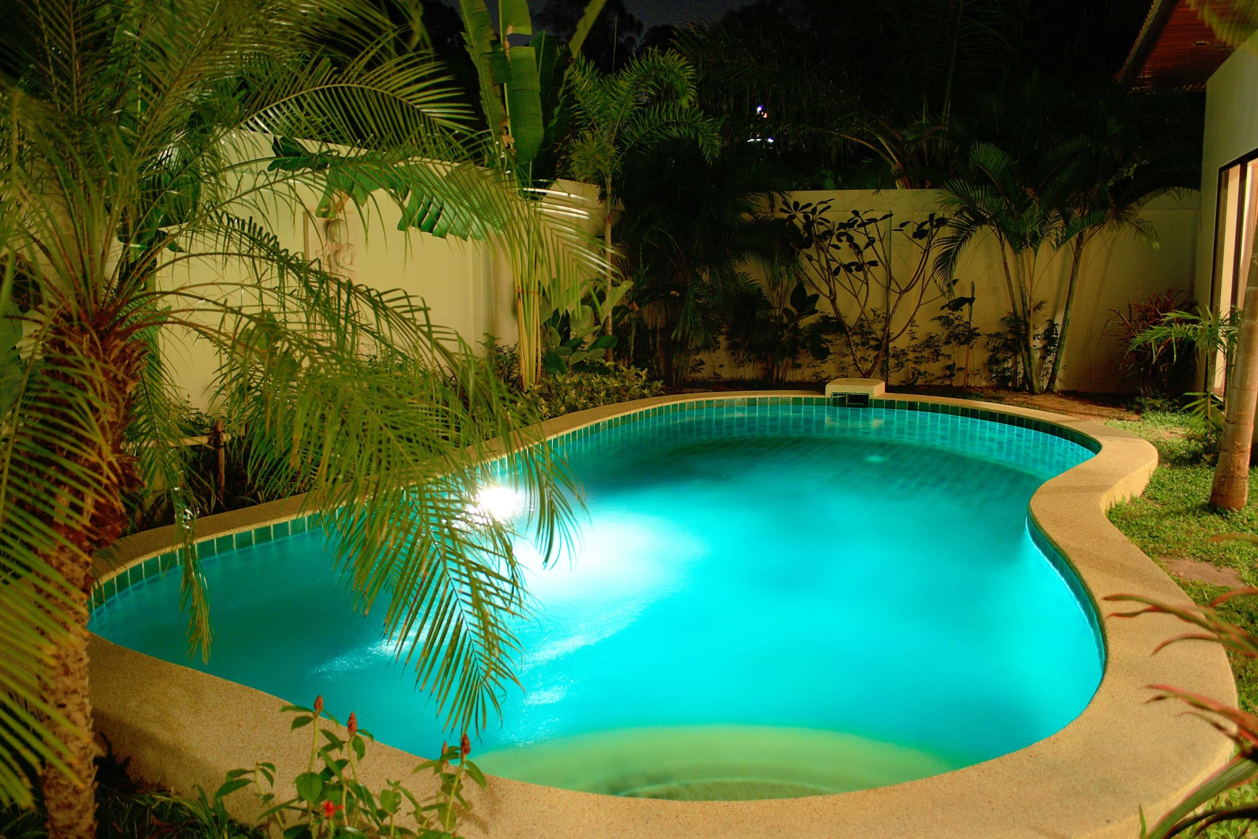 Tips to Prevent Swimming Pool Algae