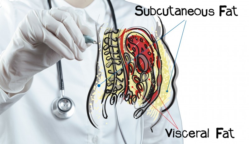 Fat Burner Injections are an Added Advantage to Weight Loss Efforts