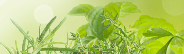 How to improve your health with vitamins in Draper
