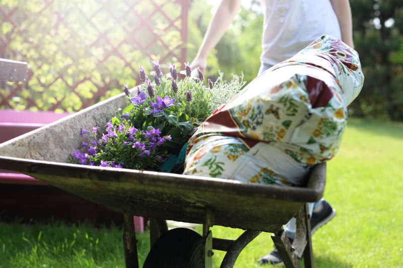 Understanding Greenhouse Irrigation Systems