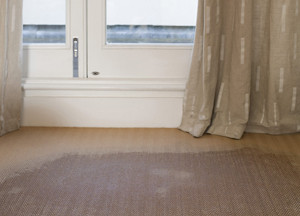 Water Restoration Companies In Albuquerque, NM Can Restore Your Home Or Business