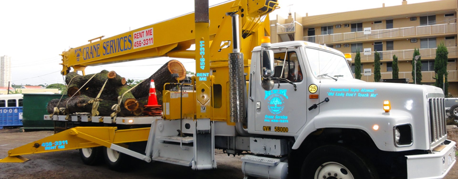 Reasons to Hire a Professional for Tree Removal in Honolulu, HI