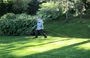 Signs it is Time to Call for Professional Pest Control in Spokane