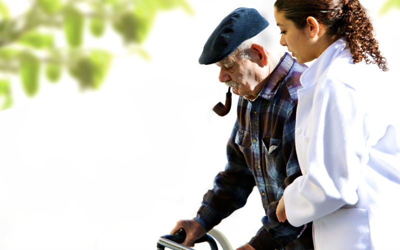 Why Adopting a Cat When Moving to Assisted Living May Be Reasonable
