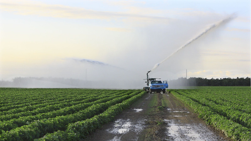 Ag Consulting Across Avon, IN, Helps Tackle Unique Farming Challenges