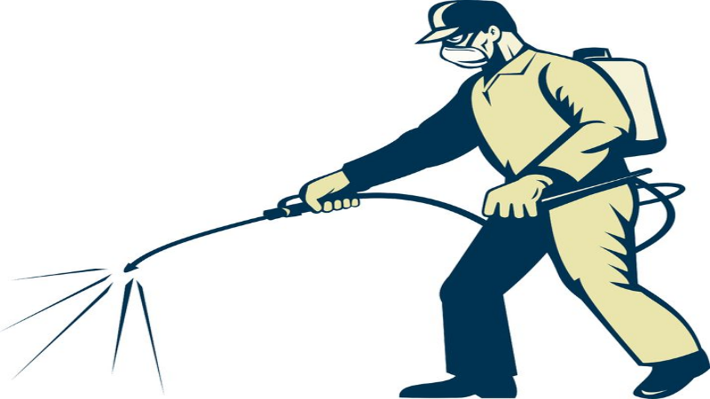 3 Reasons to Prioritize Regular Pest Control in Peachtree City, GA