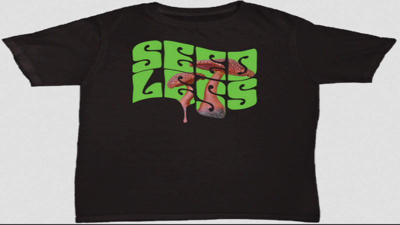 Reasons to You Should Purchase Designer CBD Clothing from California