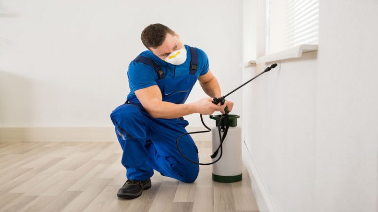 Tips For Pest Control In A New Home In Newcastle