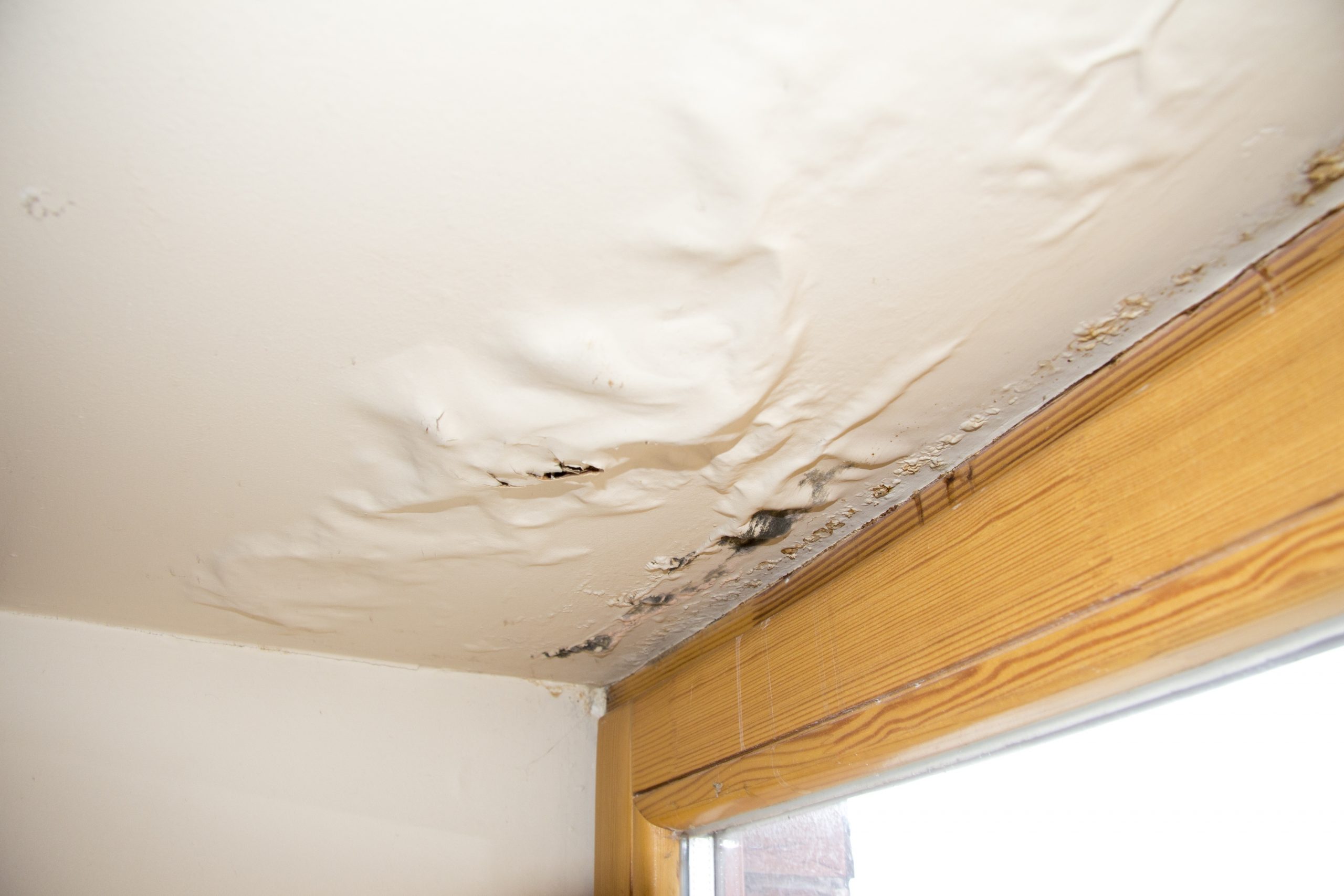 Mold Damage Remediation: Restoring Your Home