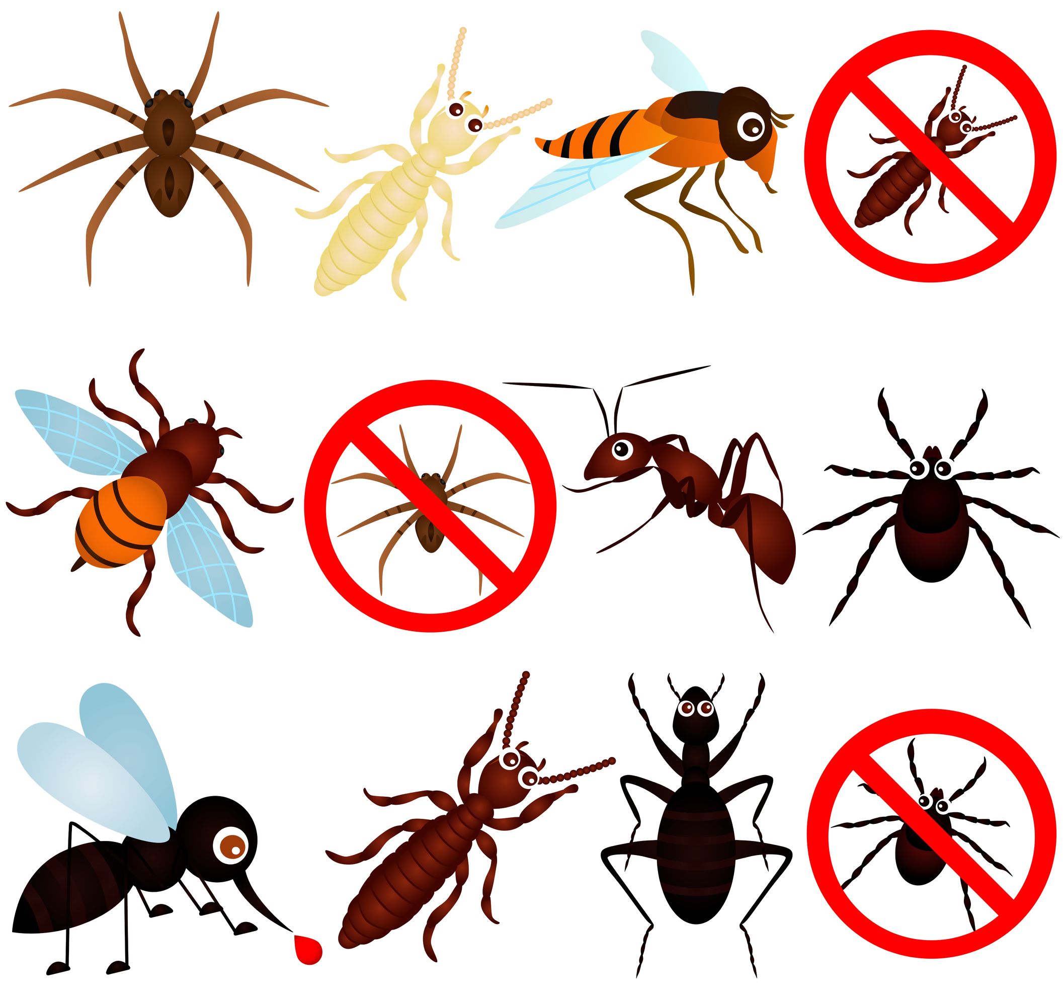 Effective Solutions for Home Pest Control in Rochester, MN
