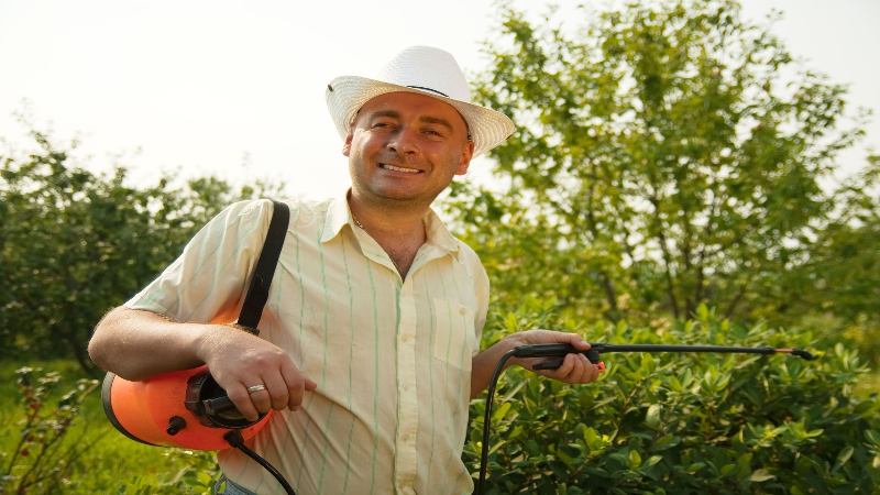 Expert Mosquito Control Solutions Near Peachtree City, GA