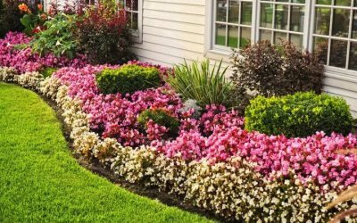 Find expert tree and shrub care services near Charlestown, IN, for a healthier Lawn all year round