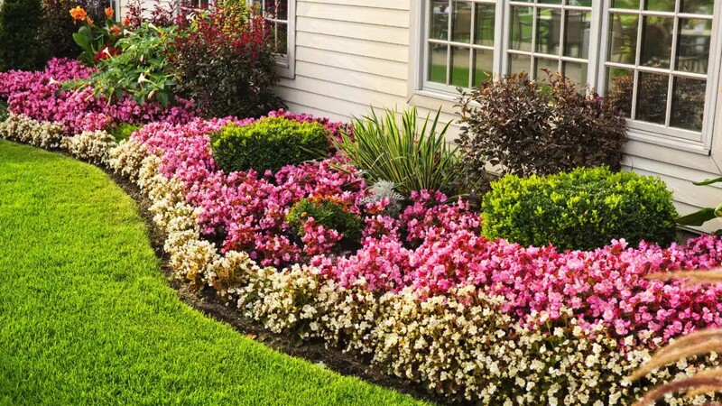 Find expert tree and shrub care services near Charlestown, IN, for a healthier Lawn all year round