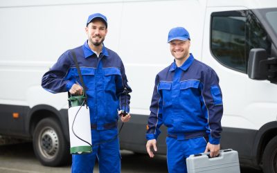 How Pest Control Services in Plymouth County MA Keep Your Family Safe From Common Home Invaders