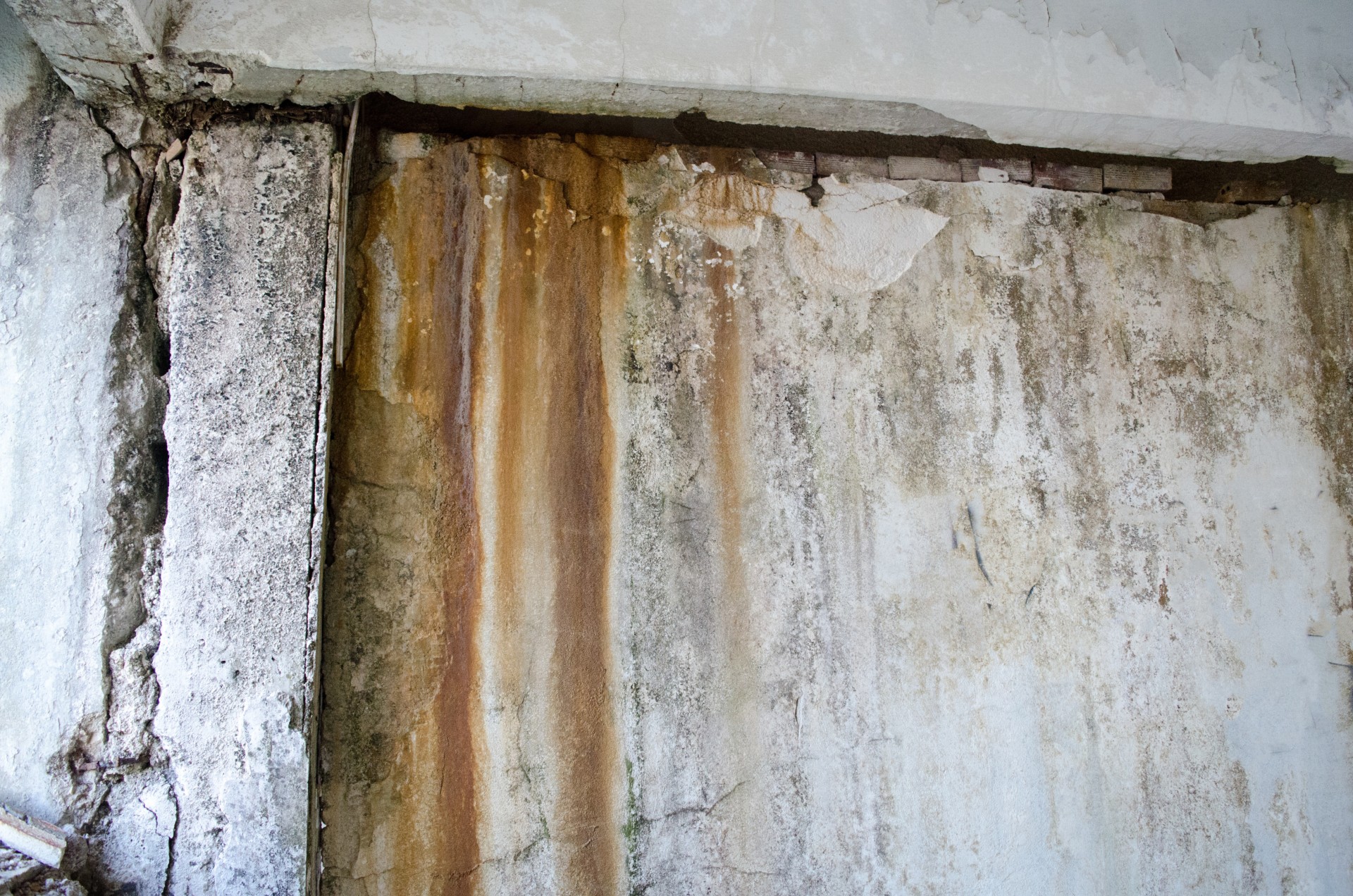 Protect Your Home Investments with Water Damage Restoration Tacoma WA Solutions