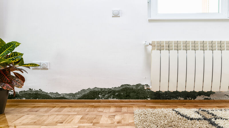 Home Safety Matters More with an Experienced Asbestos Removal Company In Denver, CO