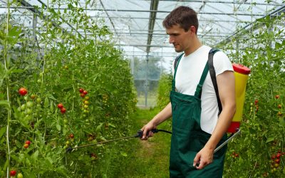 Prevent Invasive Weeds from Spreading on Your Property Using Garlon Herbicides