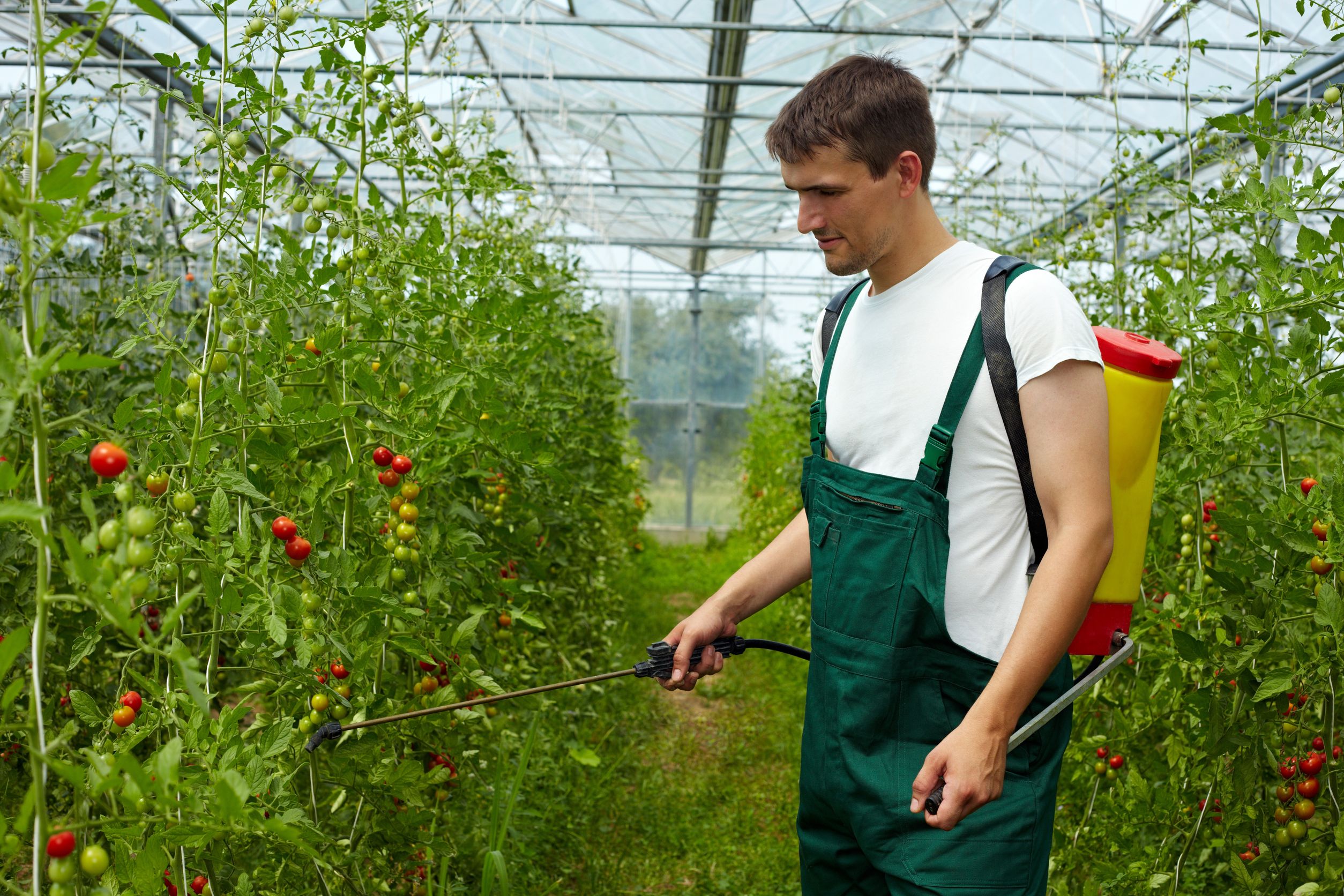 Prevent Invasive Weeds from Spreading on Your Property Using Garlon Herbicides